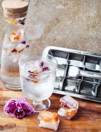 Ecozoi glassformar i rostfritt stål