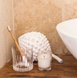 Truthbrush tandborste bambu